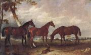 unknow artist Some Horses oil painting picture wholesale